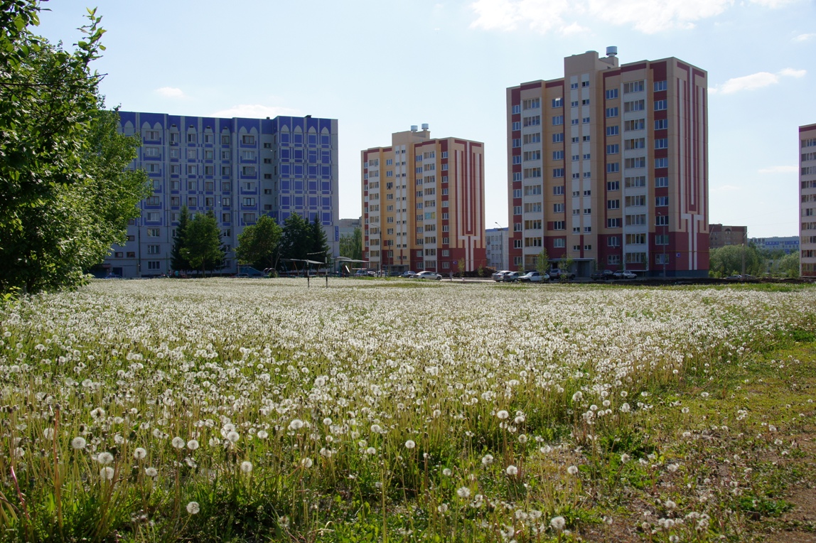 Пустырь это. Пустырь в городе. Панелька на пустыре. Многоэтажка на пустыре. Красивые места Нижнекамск поля.