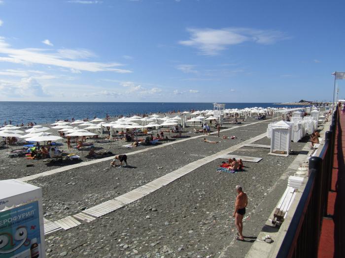 Пляж hi beach адлер фото