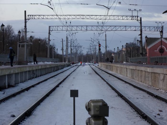 Калище санкт петербург. ЖД станция Стрельна. Железнодорожный вокзал в Стрельне. СПБ станция Стрельна. Станция Стрельна 3д.