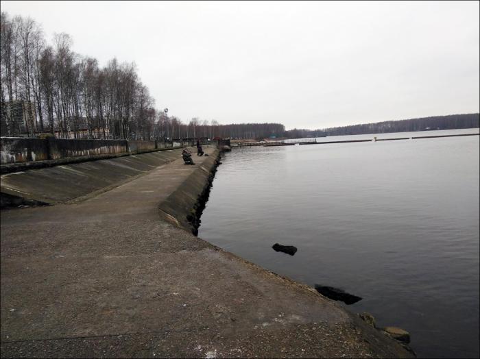 Городской пляж деснай смоленская область десногорск фото. Десногорское водохранилище набережная. Набережная в Десногорске. Десногорск пляж Деснай. Городской пляж Деснай, Десногорск.