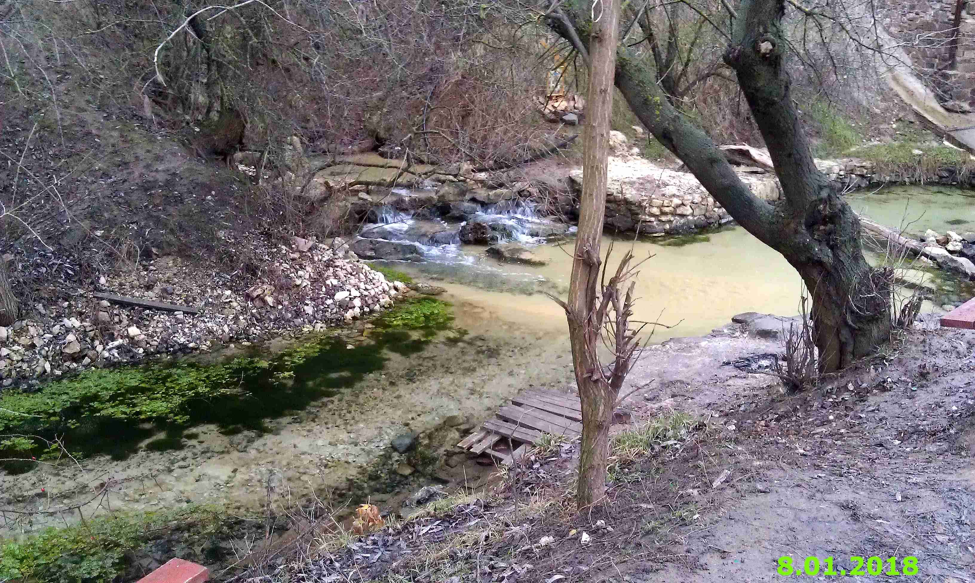 Родники в воронеже набрать воды карта