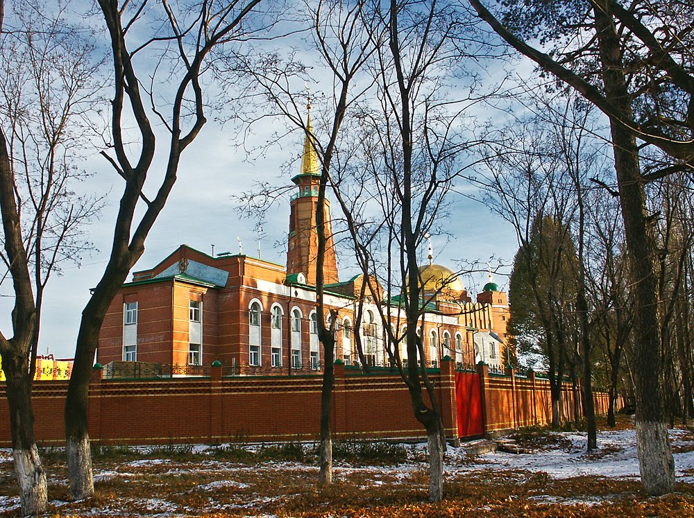 Мечеть загора. Самарская Соборная мечеть. Стара Загора 54 мечеть. Мечеть Самара на Стара Загора. Хворостянская мечеть Самара.