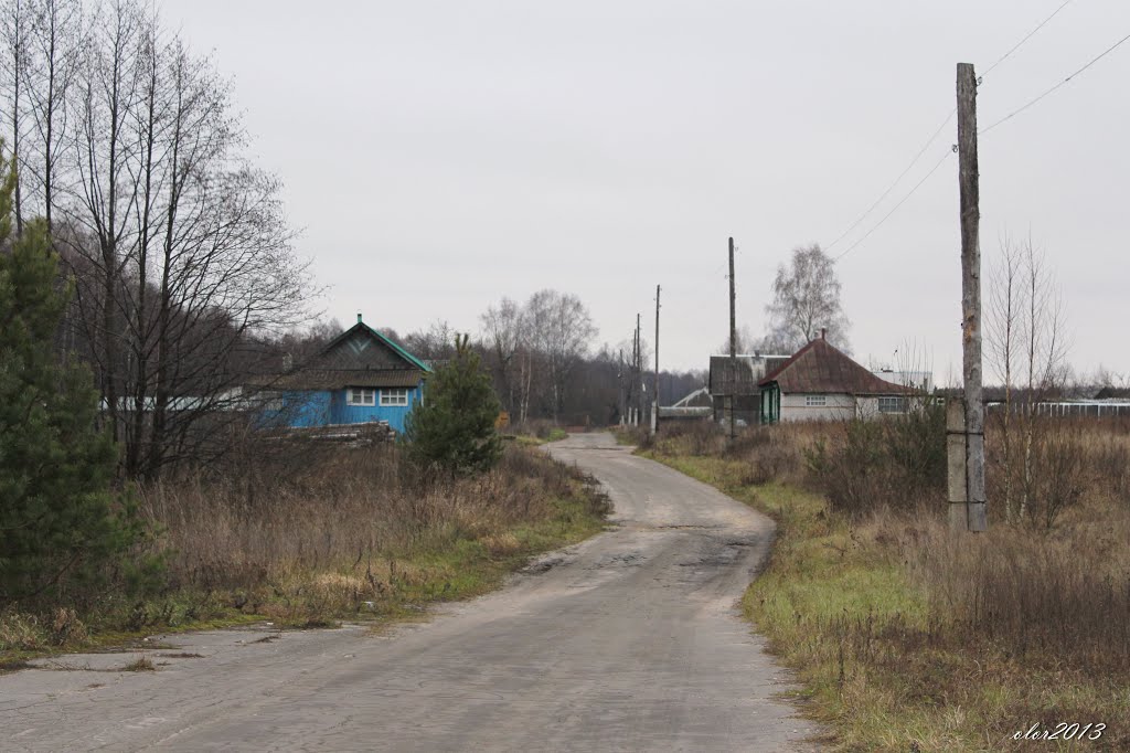 Павловка донецкая. Поселок Сосновка Мордовия. Деревня Павловка Рязанская область.