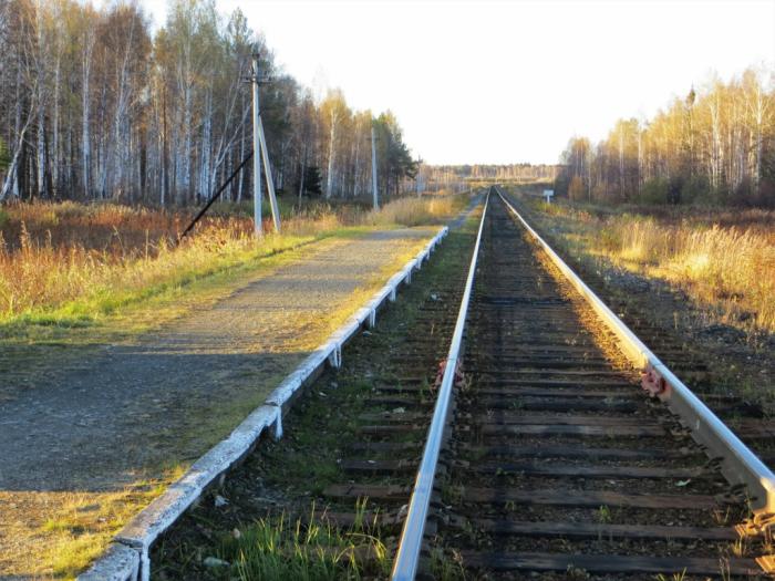 Пункт км. 101 Км Ленинградская область Гатчинский район. Станция 101 км. ЖД станция 90 км Гатчинский район. Струнёво 101 км.