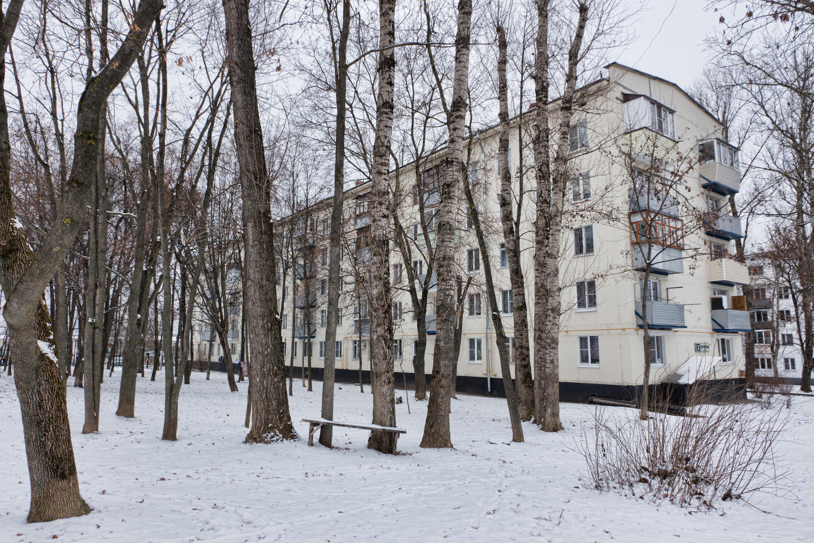 Второй поселок. Птичное Московская. Птичное ул Центральная 2. Пос.Птичное. Центральная улица дом 1 Птичное.