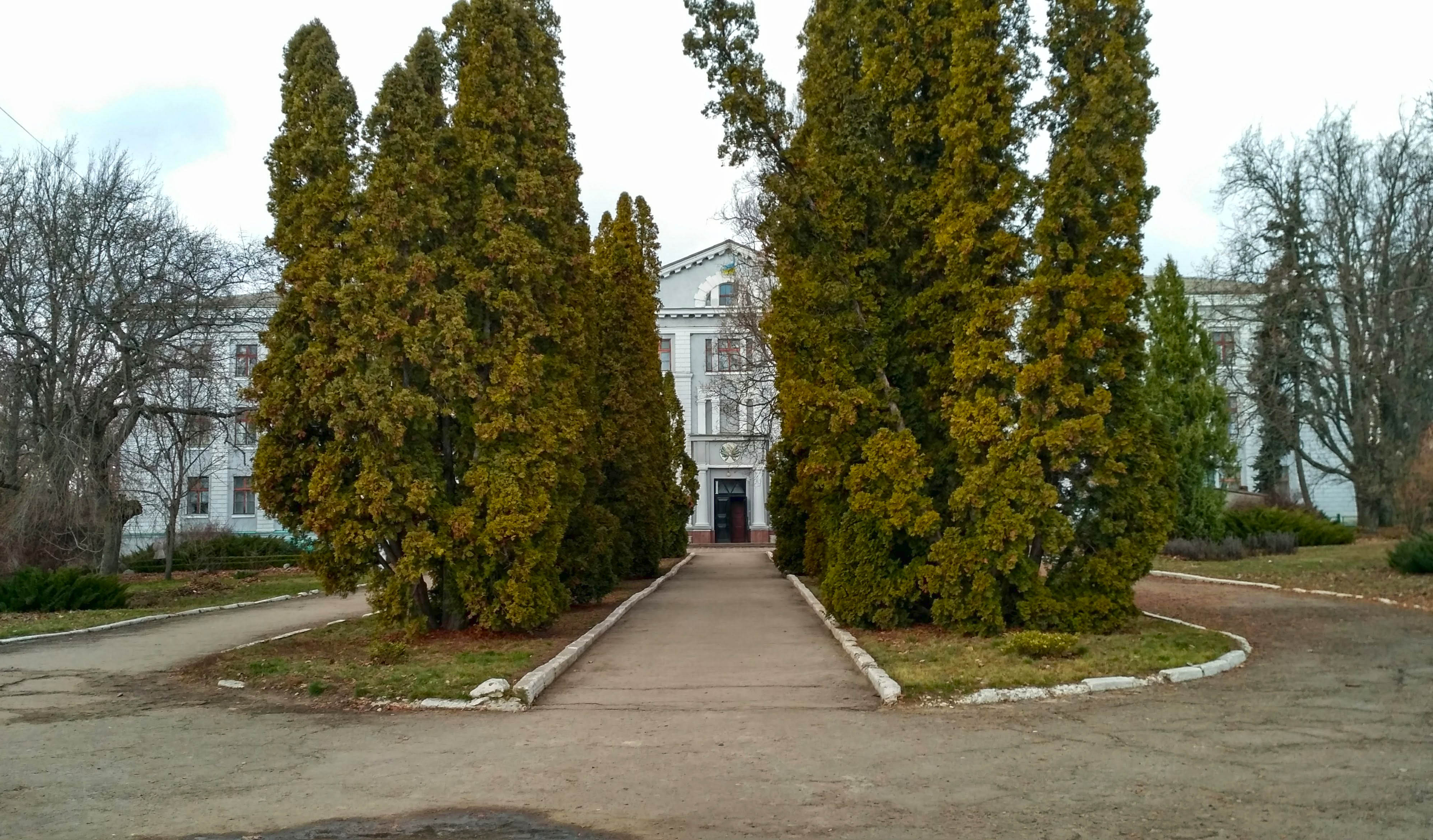 Институт сельского. Чугуево Бабчанский Лесной техникум. Чугуево Бабчанское Лесное хозяйство. Кочеток Харьковская область. Кочеток Чугуевский район.