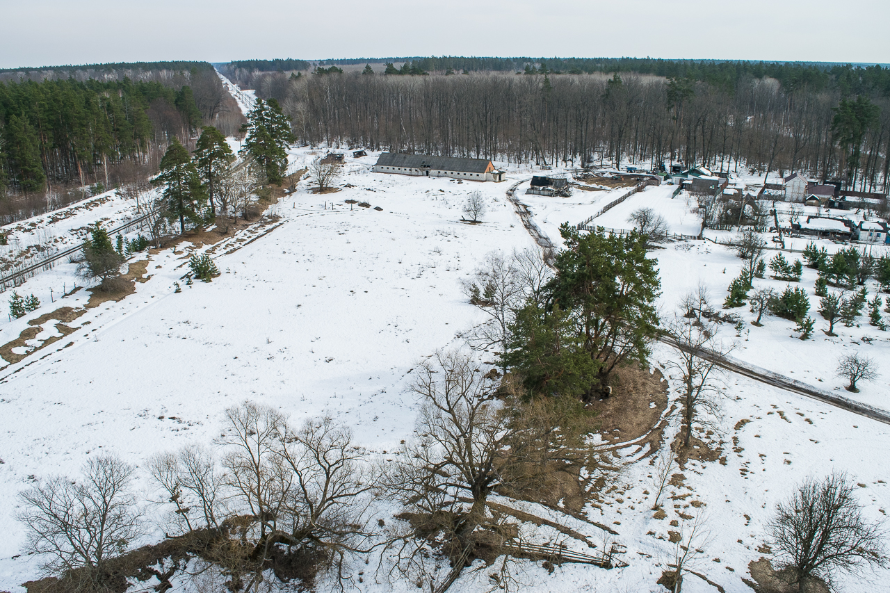 Погода в боре. Рамонское городское поселение поселок Бор. Поселок Бор Рамонский район. Посёлок Бор Воронежская область. Посёлок Бор Воронежская область Рамонский район.