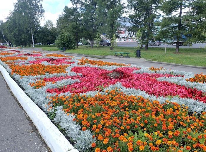 Цветы вологда. Вологда клумбы. Вологда цветочные клумбы. Цветы на клумбах Вологды. Музей-заповедник Вологда цветы клумбы.