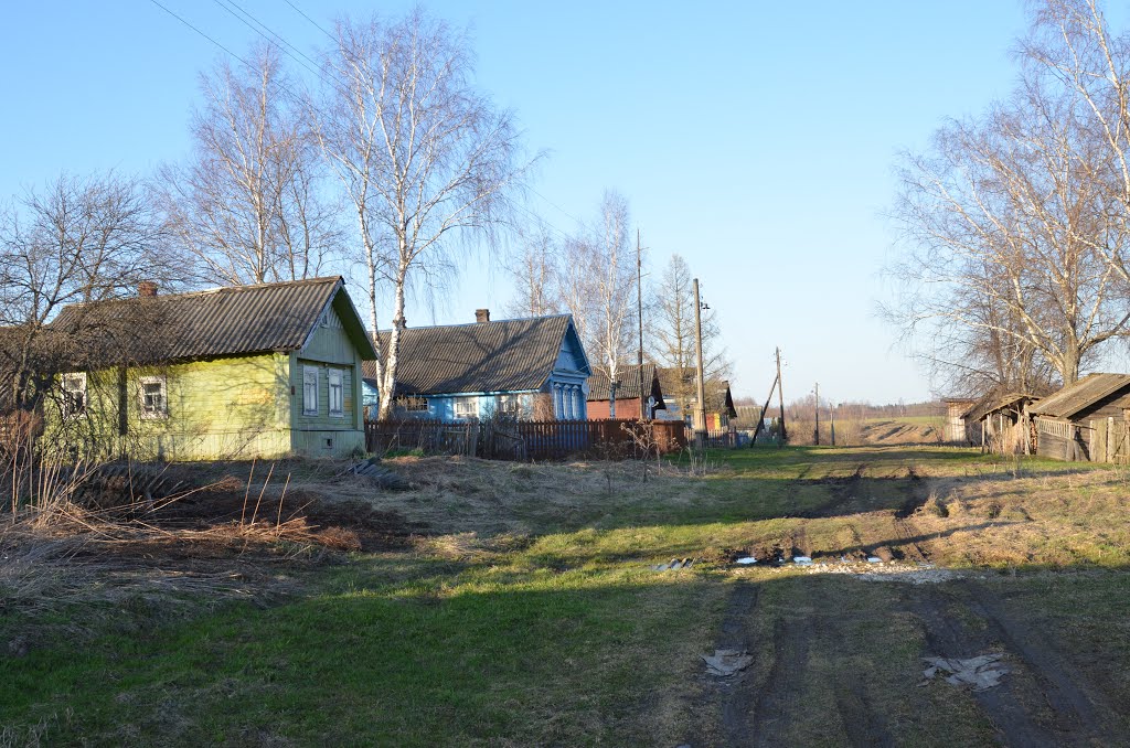 Купить Дом В Зубцовском Районе Тверской Области