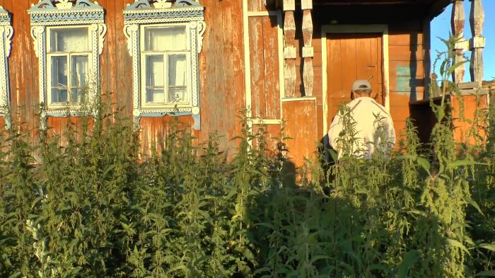Погода аряш новобурасский