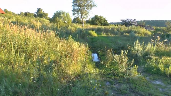 Погода аряш новобурасский. Село Аряш Камешкирского района. Аряш Пензенская область село. Село Аряш Пензенская область Камешкирский район. Аряш фото Пензенская область.
