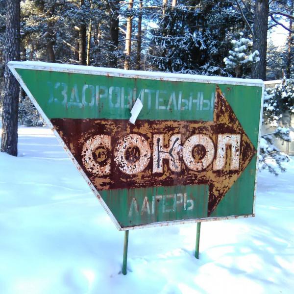 Лагерь сокол ульяновск