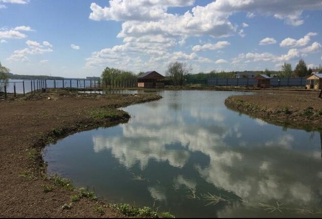 Семкино платная рыбалка форум. Семкино платная рыбалка Дмитровское шоссе. Семкино Рязанская область пруд. Рыбалка Семкино, Мытищинский район. Семкино Мытищи платный пруд.