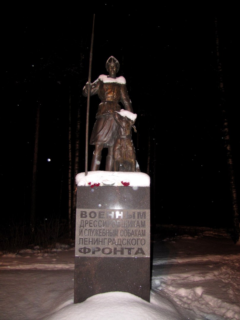 World / Russia / Leningrad / Bugry , 5 км от центра (Бугры)