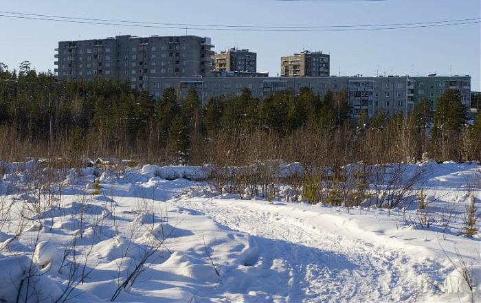 Полярный 3. Полярные зори Ломоносова 1/1. Полярные зори улица Ломоносова 1. Полярные зори ул Ломоносова дом 3. Ломоносова 1/3 Полярные зори.