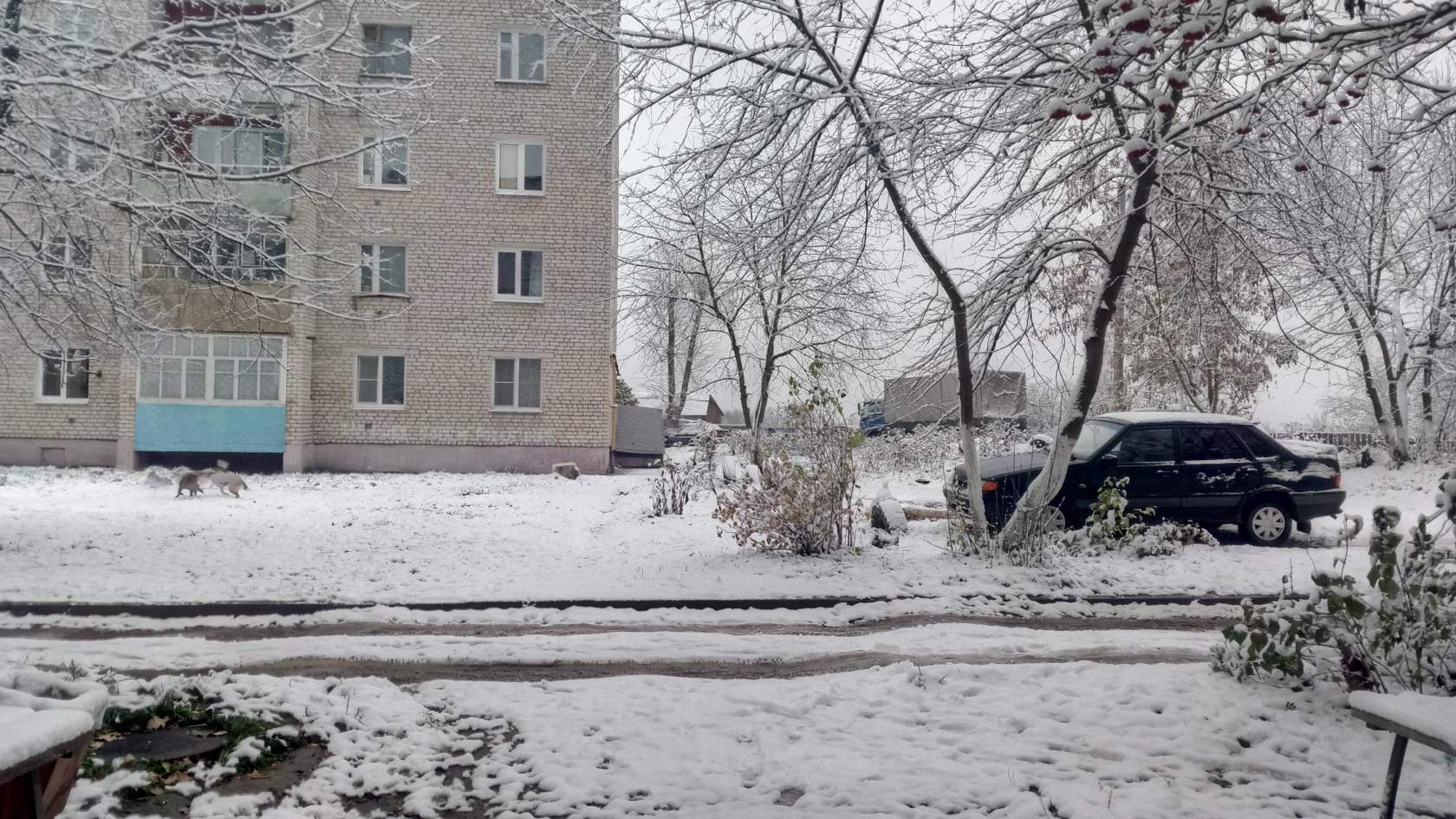 Прогноз погоды в ермолино. ОПХ Ермолино Боровский район. ОПХ Ермолино Калужская область. Остановка ОПХ Ермолино. ОПХ Ермолино школа.