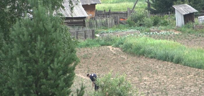 Погода в замзоре. Замзор Нижнеудинский район. Поселок Замзор Иркутской области. Посёлок Замзор Нижнеудинский район, Иркутская область. В поселке Замзор произошло.