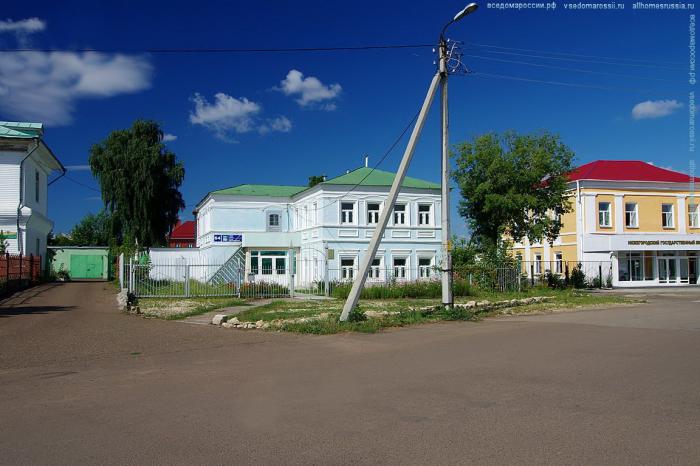 На плане изображен дачный участок по адресу п большой ручей ул центральная дом 14