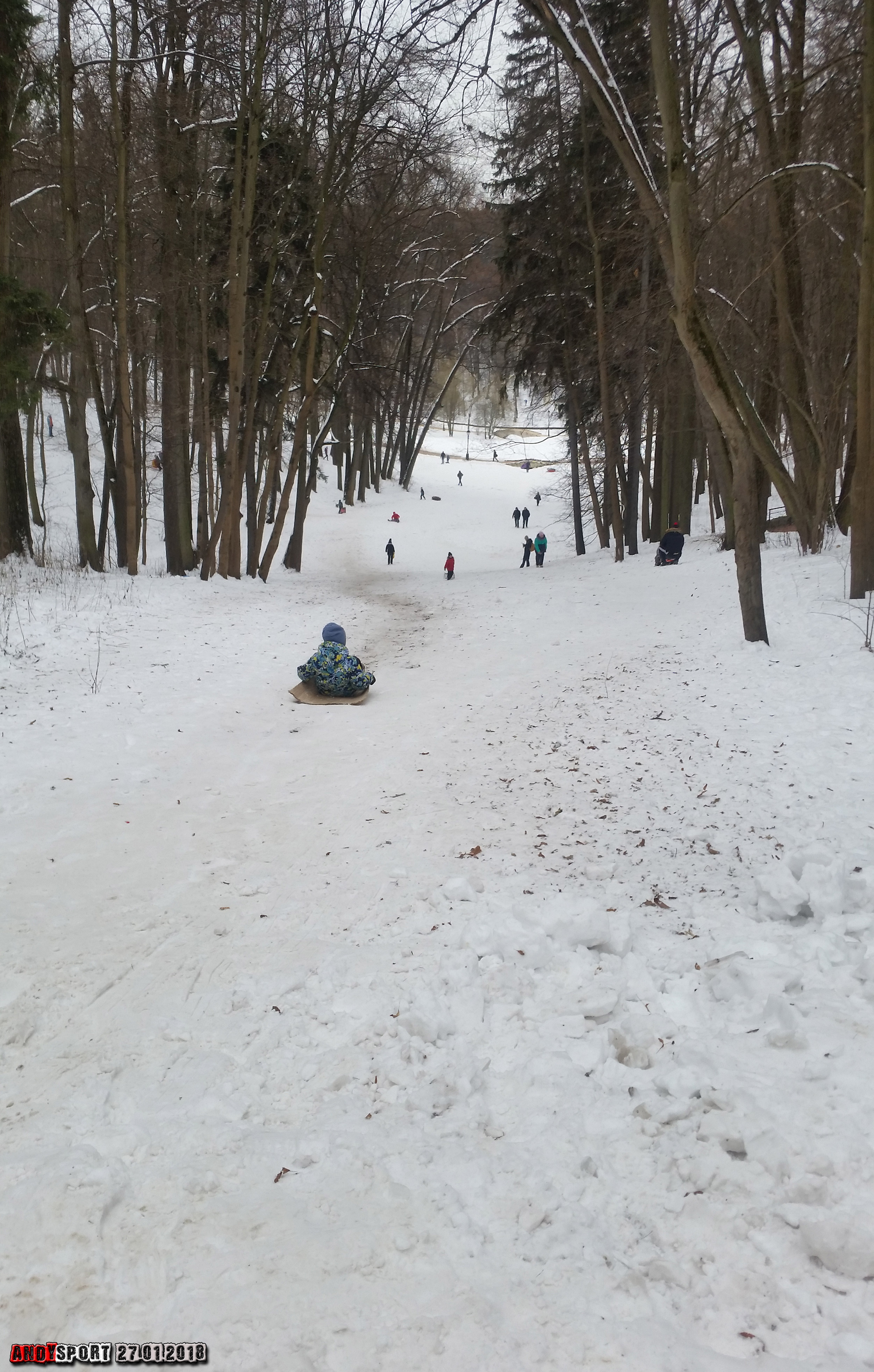 Горка ближайший. Парк Царицыно горки. Парк Талалихина зимняя горка Подольск. Снежная горка в Царицыно. Царицыно парк тюбинг.