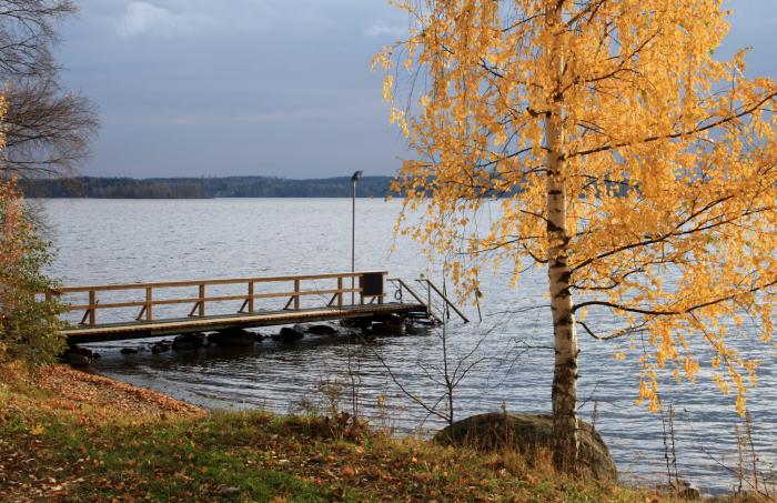 Halkoniemen sauna - Nokia