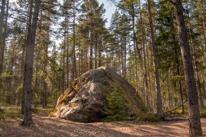 Большой камень телефон. Приозерск большой камень. Камня в Приозерске. Мыс Большекаменный Приозерский район. Больше камни Приозерск.