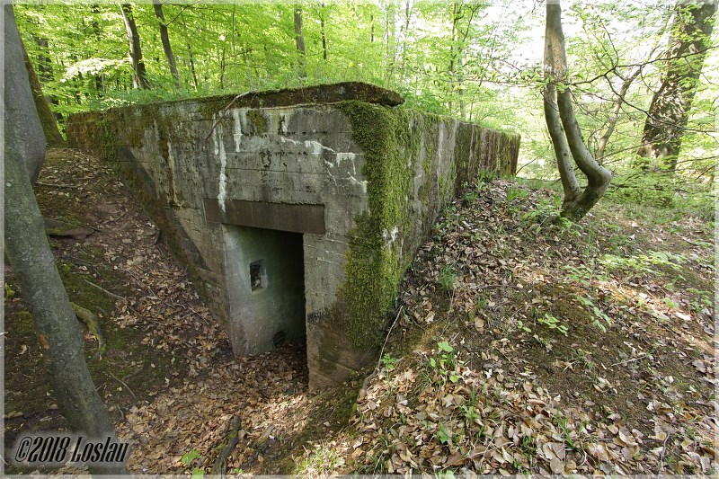 Westwall (Siegfried-Linie) - Regelbau 51 (12p) | Second World War 1939 ...