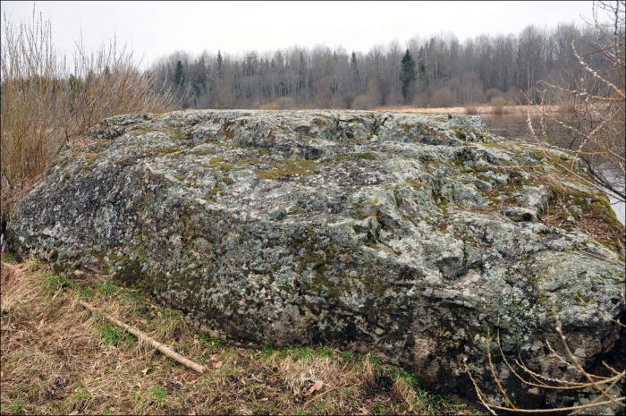 русский язык 8 класс бархударов изложение. псковская земля мелколесье валуны голубые озерца льна. камень званчи островский район. валун добряк. псковская земля мелколесье.