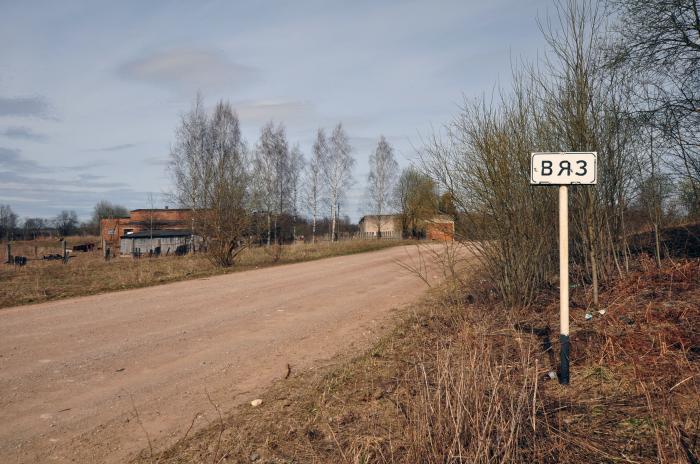 Новосокольническая волость. Деревня вяз Новосокольнический район. Вяз Новосокольнического района Псковской области. Деревня вяз Новосокольнический район Псковская область. Вяз деревня в Псковской области.