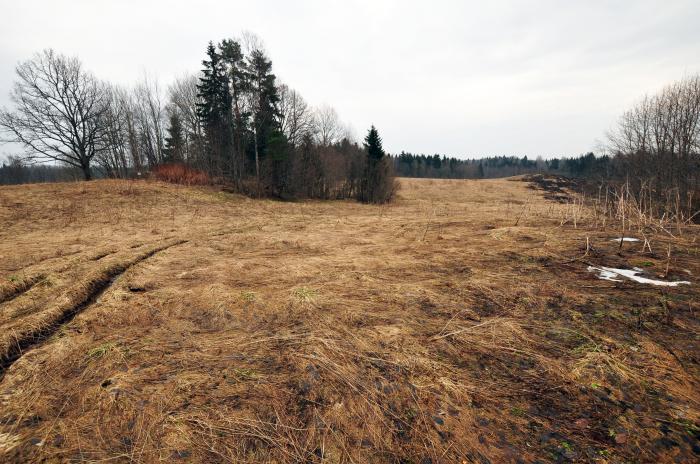 деревня красково. д красково череповецкий район. деревня красково. красково московская область. малаховка овраг.