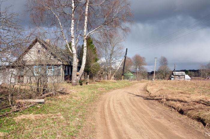 Новосокольническая волость. Вяз Псковская область. Дер вяз Псковская обл. Вяз Новосокольнического района. Бурехино Новосокольнический район.