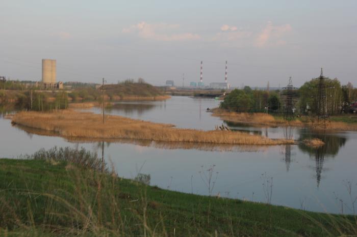 Новомичуринском водохранилище. Новомичуринское водохранилище Рязанской области. Река Проня Новомичуринск. Рязанская ГРЭС Новомичуринск водохранилище. ГРЭС Рязань водохранилище.