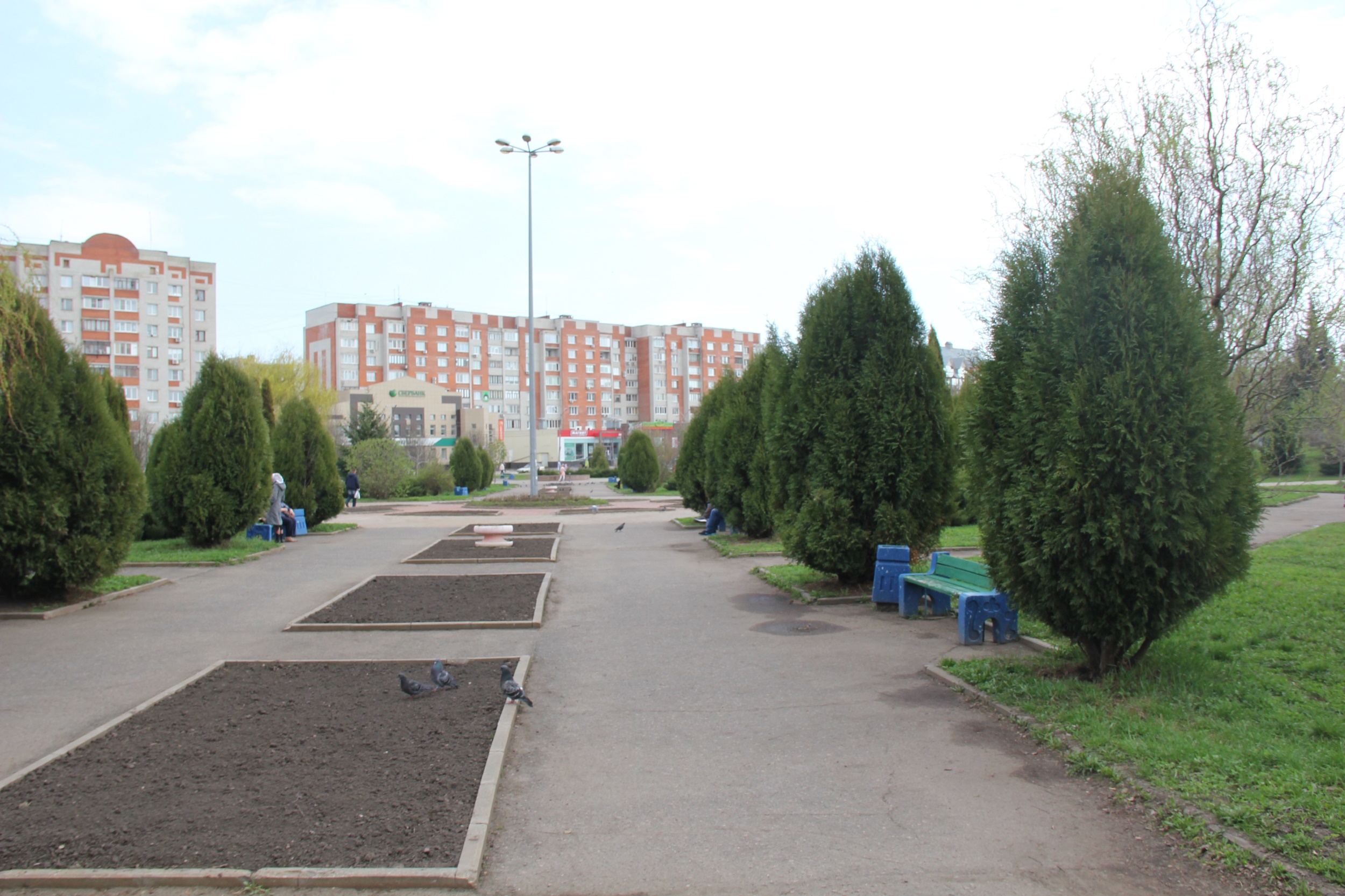 Железногорск курская область фото. Сквер воинской славы Железногорск Курская область. Сквер воинов интернационалистов город Железногорск Курская область. Железногорск Курская область аллея. Аллея Железногорск Красноярский край.