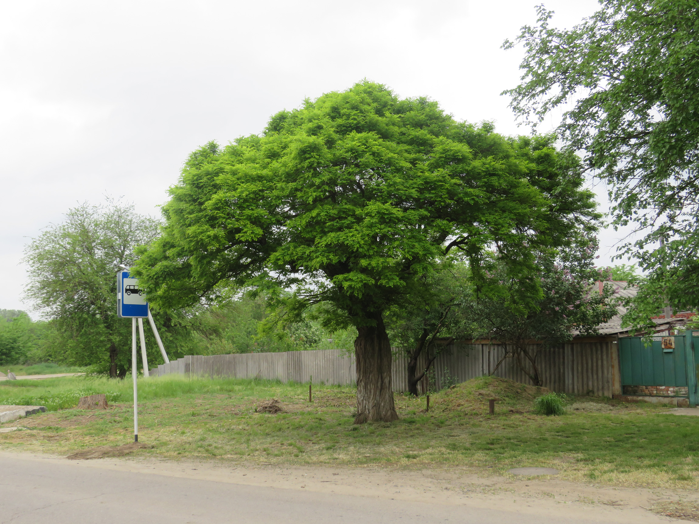 Красносельское краснодарский