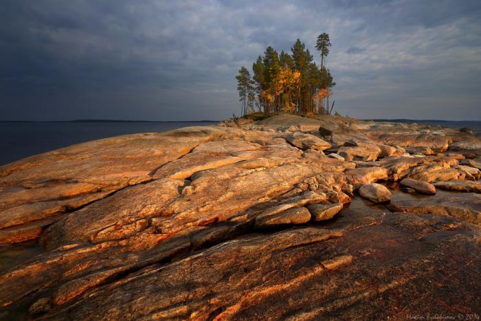 Seesjärvi