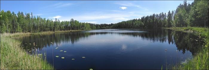 Озеро серебряное псковская область гдовский район
