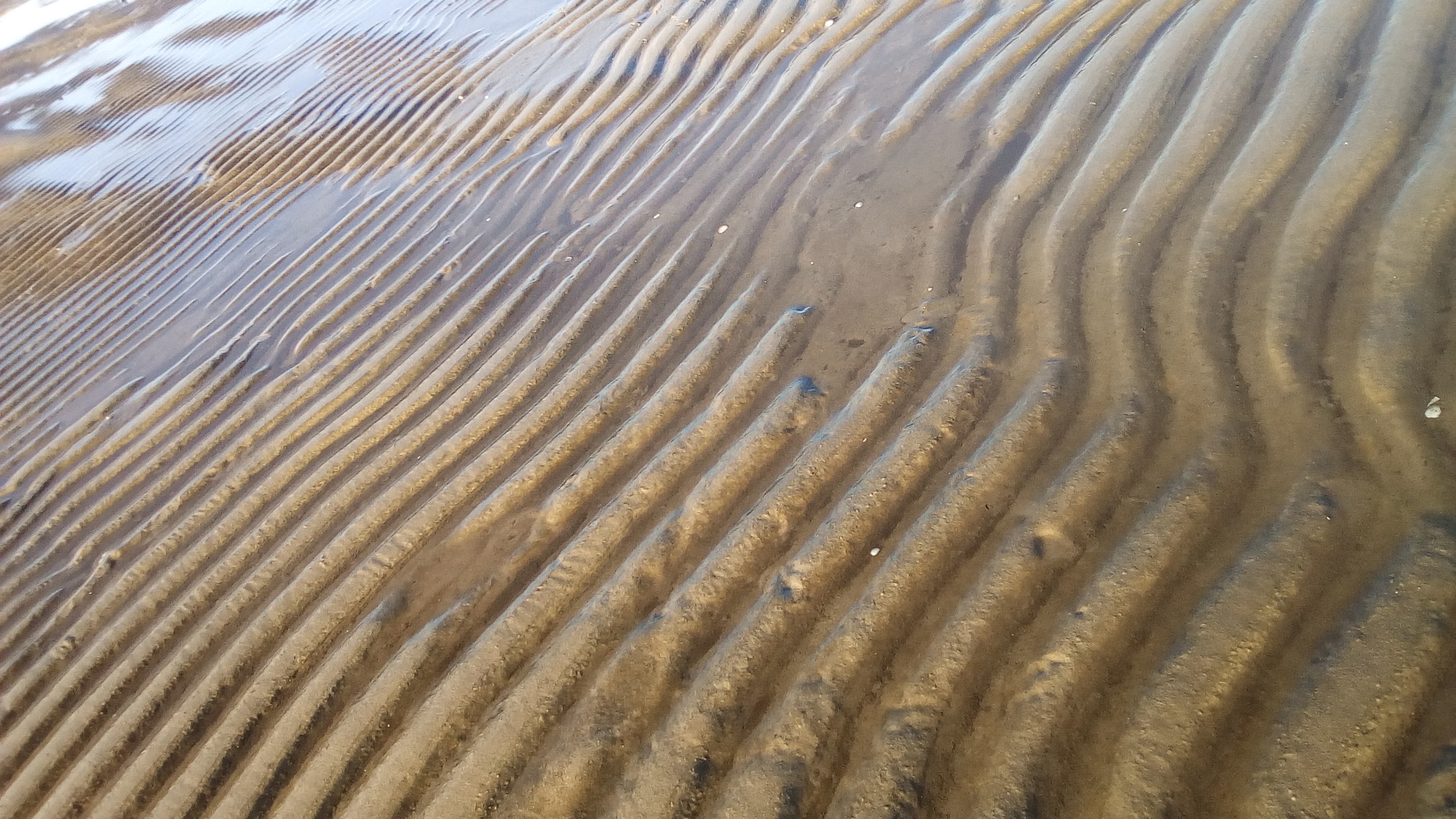 Bulduri Beach