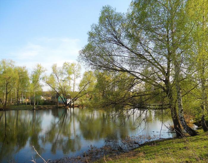 Турлатово. Турлатово (деревня). Пруды Турлатово Турлатово Рязань. Турлатово Рязань лес. Турлатово Рязань пруд.