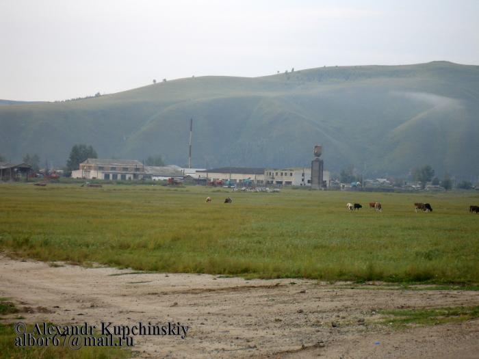 Чернышевск село Алеур. Алеур Забайкальский край.