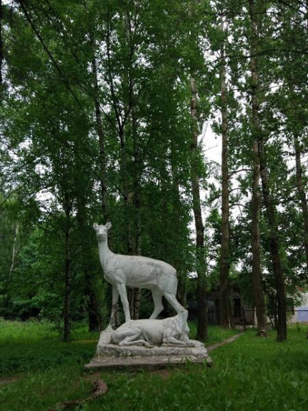 Олени спб. Статуя оленю в Ленинградской области. Санаторий в Подмосковье скульптуры оленей. Скульптура олени в Петербурге. Памятник оленю в СПБ.