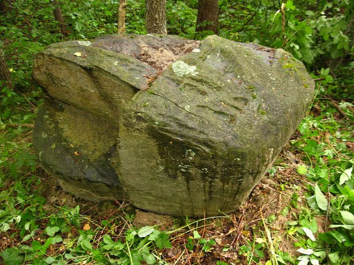 Родники калининградской. Мегалит следовик. Малая Охта камень следовик. Сусанинский следовик. Священный камень.