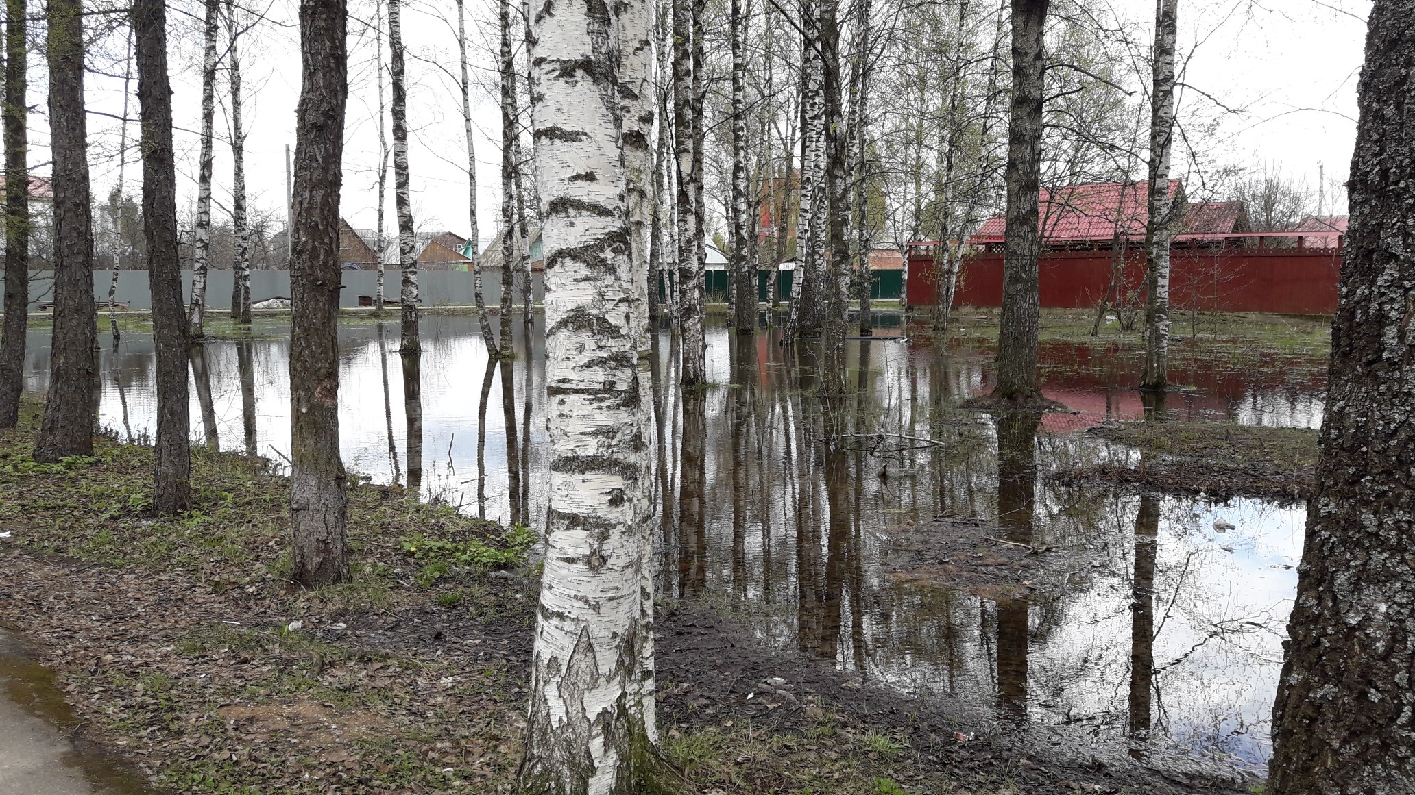 Погода в ашукино московской. Ашукино. Озеро Ашукино. Ашукино старые фото. Ашукино в Старая.