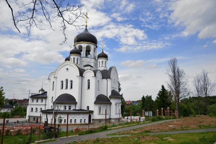 Воскресенское московский