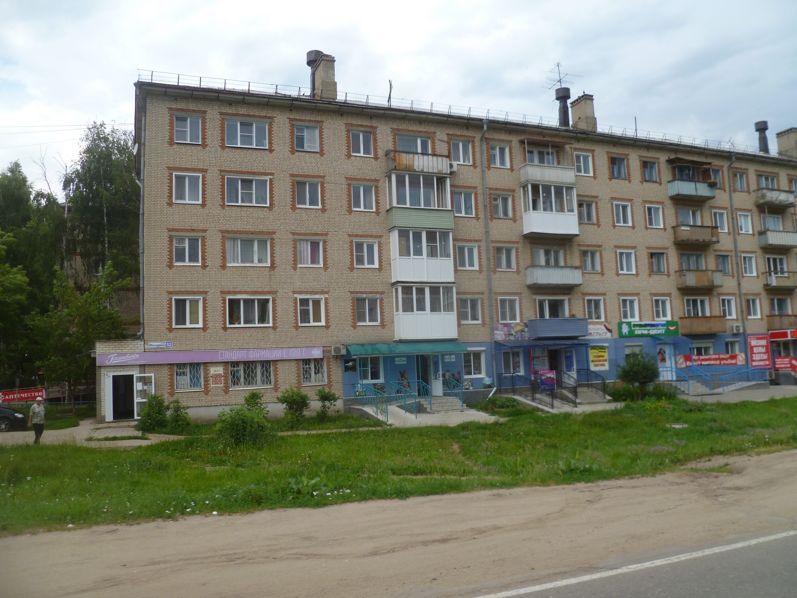 Жилье в лысково нижегородской. Лысково ул Мичурина. Лысково Нижегородская область Мичурина 56. Лысково ул Мичурина 56а. Улица Мичурина Лысково.