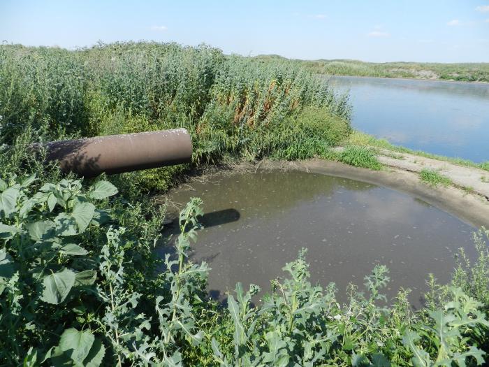 Поле фильтра. Поля фильтрации сахарного завода Отрадинский. Отстойник сахарного завода. Отстойники сахарного завода в Алексеевке. Отстойники сахарного завода Кореновск.