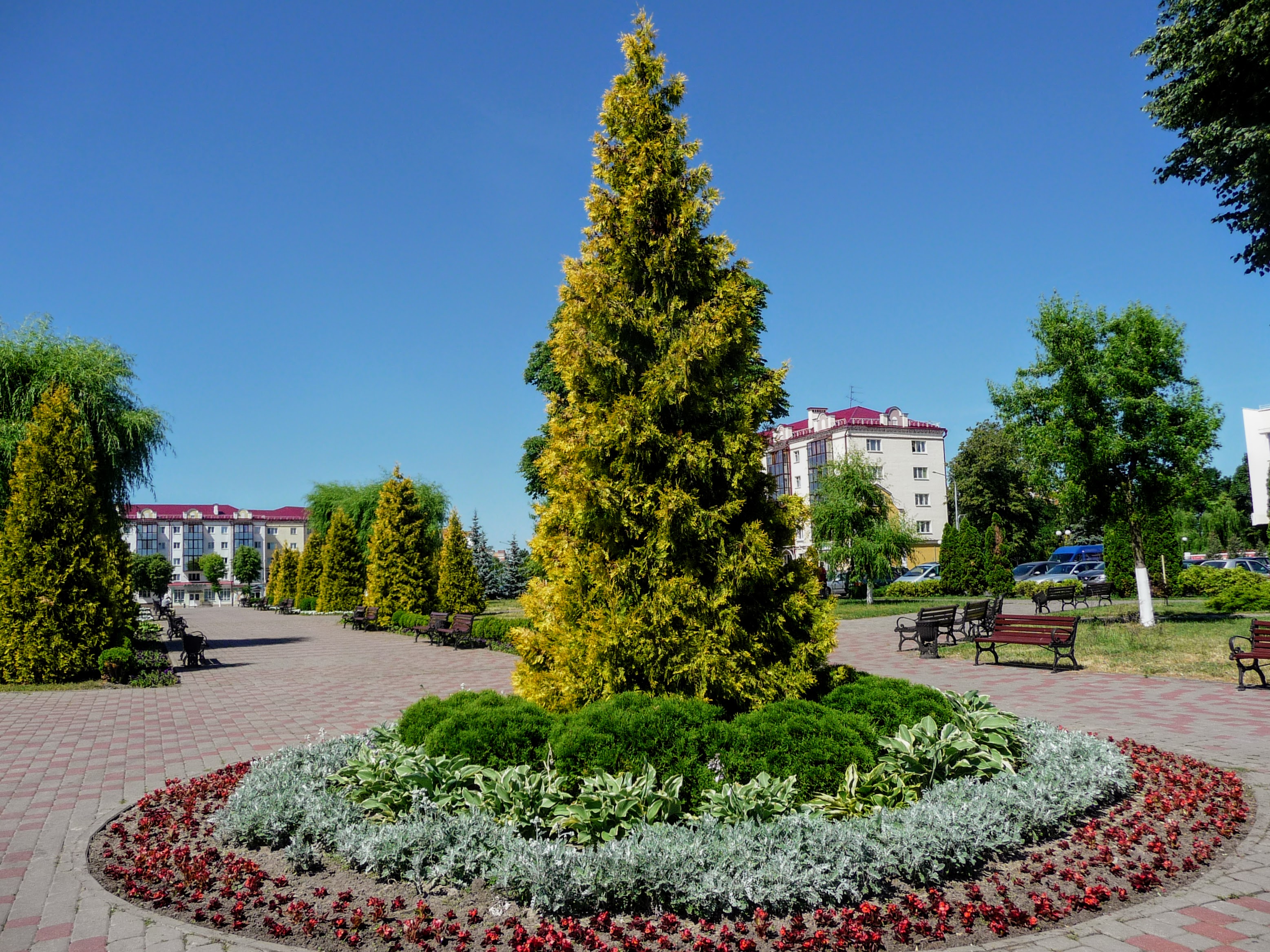 Пинск. Пинск центр. Пинск парк культуры и отдыха. Детский парк Пинск.