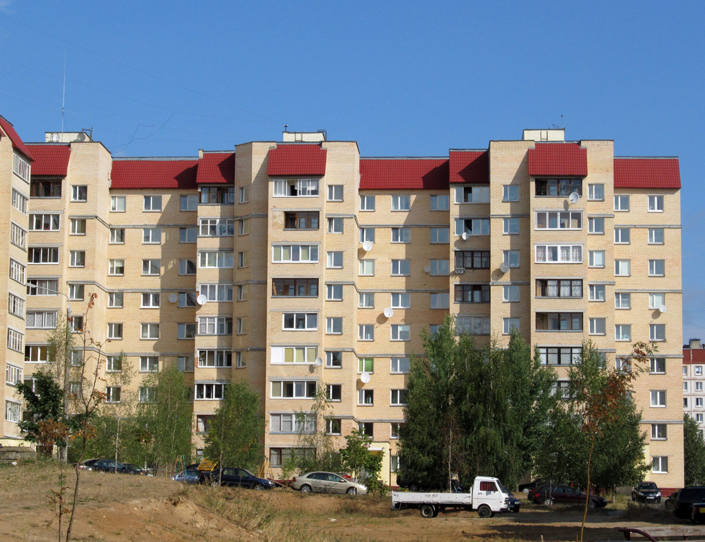 Лесной поселок улица. Поселок Лесной Боровляны. Минск Лесной поселок. Посёлок Лесной Минский район. Ул Лесная в Минске.