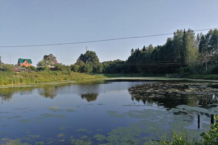 Фотки жуково. Пруд в городе Жуков Калужской области. Жуков пруд Минусинск 2020. Город Жуков городской пруд.