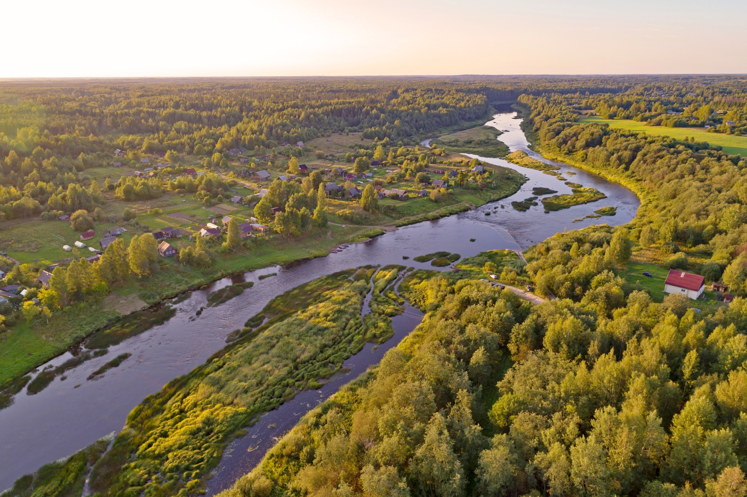река сясь ленинградская область