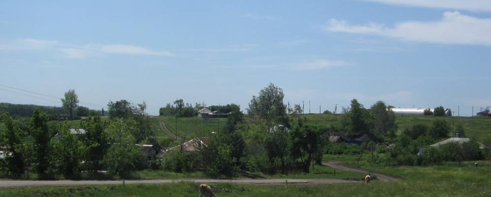 Поселок новоусманский воронежская область. Воронежская. Область. Новоусманский. Район село. Крыловка. Тимирязевское сельское поселение Новоусманского. Село Крыловка Оренбургская область. Село Крыловка Воронеж.