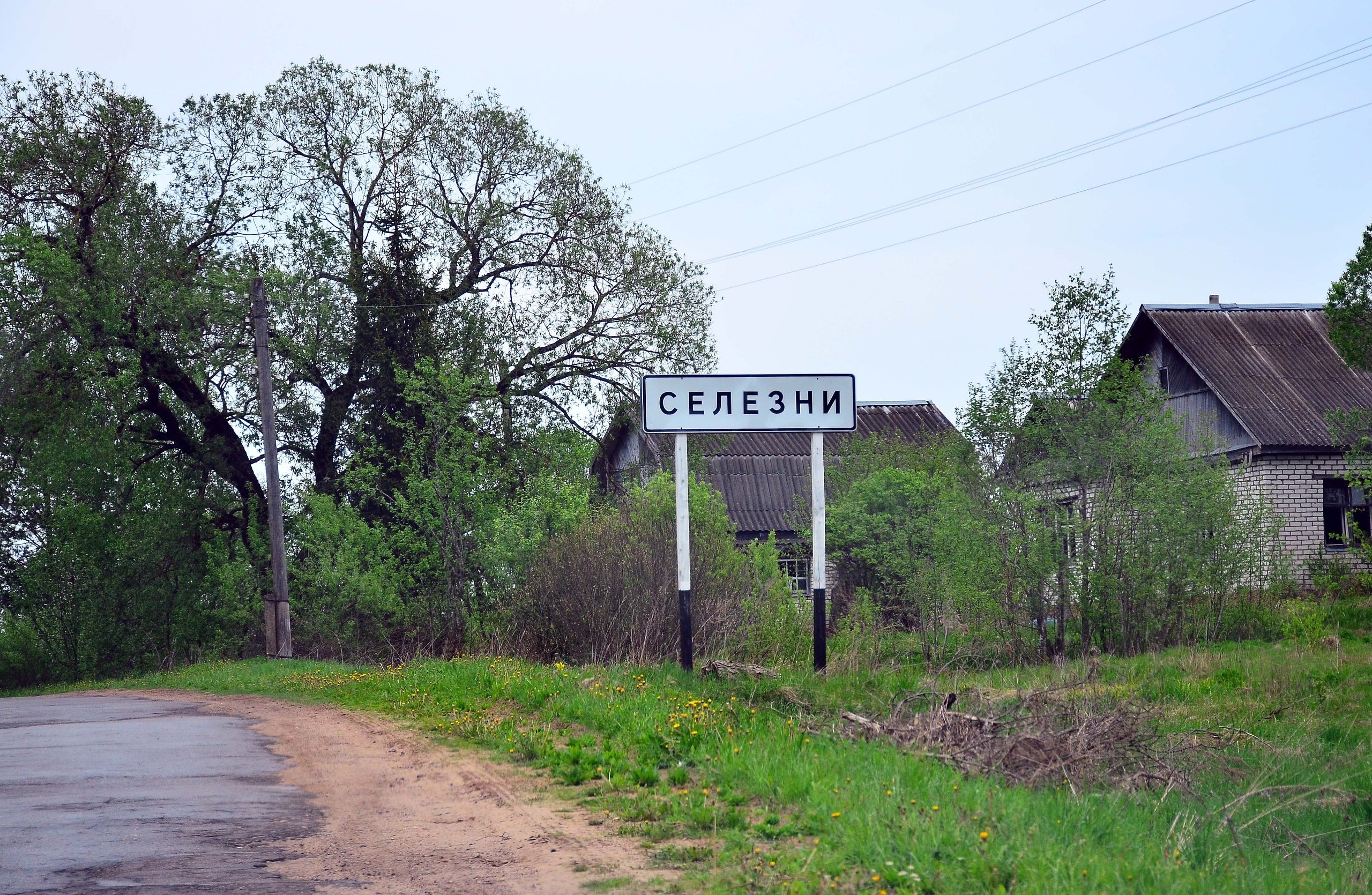 Селезни Смоленская область